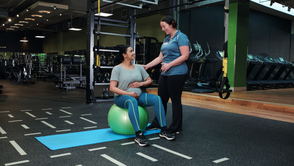 A pregnant women performing exercises led by a physiotherapist